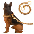 Factory Drop Shipping Gold Gold 14mm Bully Acessórios para cães